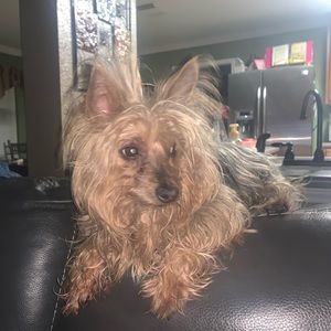 Meet your Posher, Sadalinda